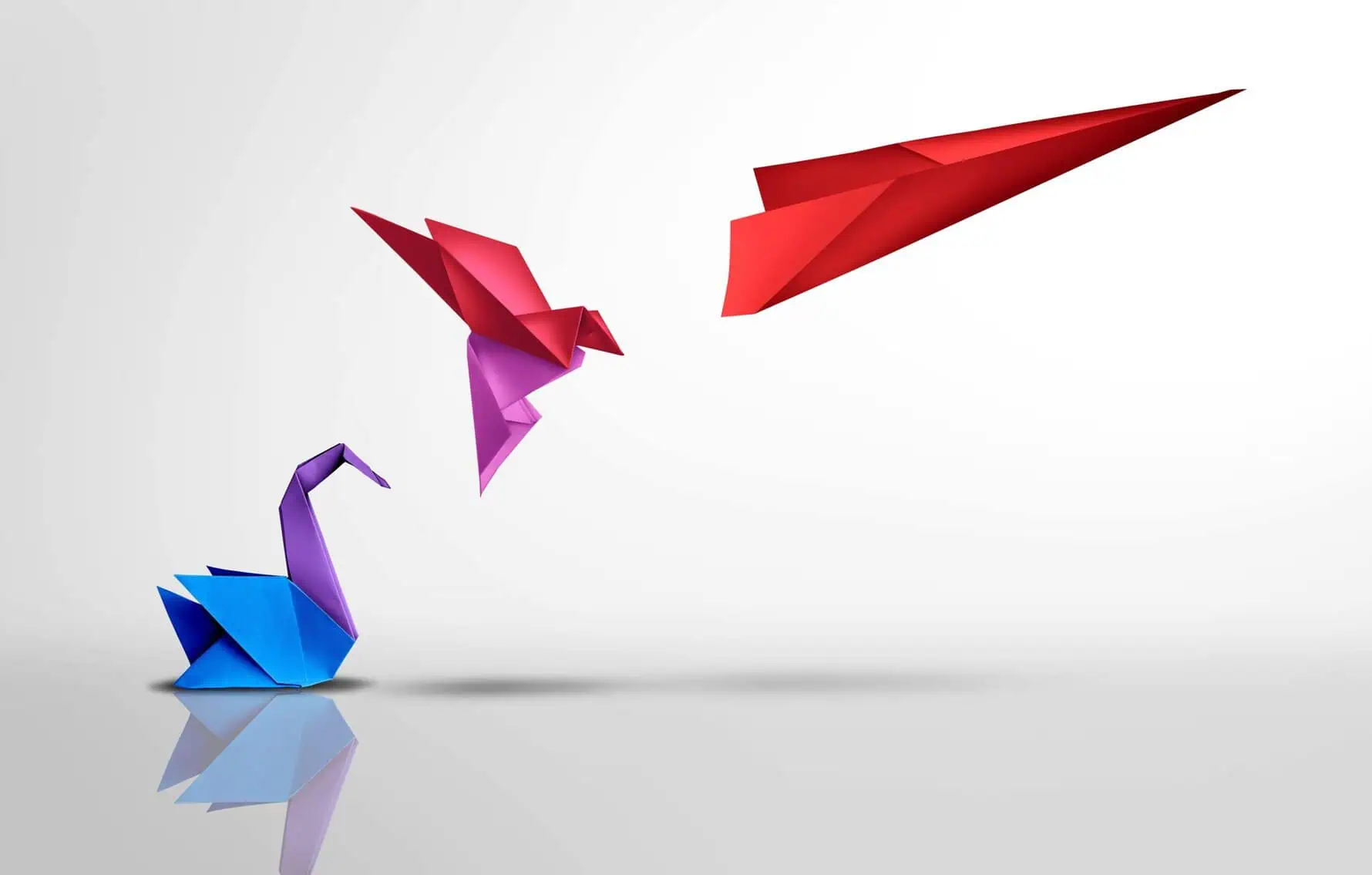 transform,and,succeed,or,success,transformation,and,improving,as,a